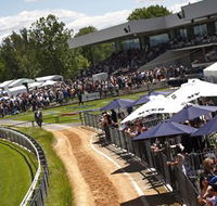 Thoroughbred Park Canberra Racing Club - Horse Racing in the Nations Capital - Accommodation QLD