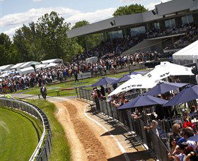 Thoroughbred Park Canberra Racing Club - Horse Racing In The Nations Capital - Accommodation QLD 0