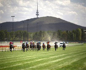 Thoroughbred Park Canberra Racing Club - Horse Racing In The Nations Capital - Accommodation QLD 3