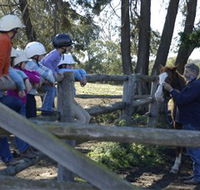 Harlow Park Horse Riding - Accommodation QLD