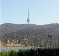 Black Mountain Peninsula - Accommodation QLD