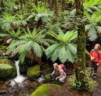 Baw Baw National Park - Accommodation QLD