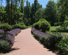 Glebe Park - Accommodation QLD 1