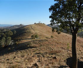 Urambi Hills - Accommodation QLD 1