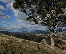 East Ballidu ACT Accommodation QLD