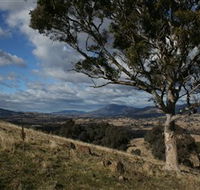 Urambi Hills - Accommodation QLD