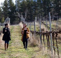 Mount Majura Vineyard - Accommodation QLD