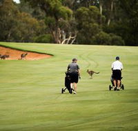 Federal Golf Club - Accommodation QLD