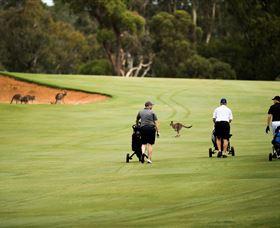 Federal Golf Club - Accommodation QLD 0