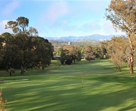 Federal Golf Club - Accommodation QLD 1