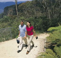 Blue Mountains Walking Tracks - Accommodation QLD