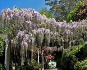 Mount Wilson NSW Accommodation QLD