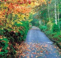 Mount Wilson and Mount Irvine - Accommodation QLD
