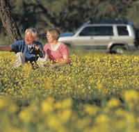 Coalseam Conservation Park - Accommodation QLD