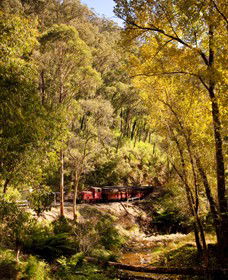 Walhalla Goldfields Railway - Accommodation QLD 3