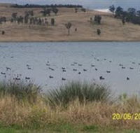 Lake Liddell Recreation Area - Accommodation QLD