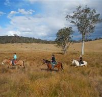 Chapman Valley Horse Riding - Accommodation QLD