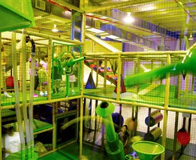 Monkey Mania - Accommodation QLD 1
