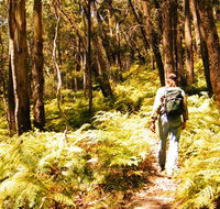 Federal Pass - Accommodation QLD