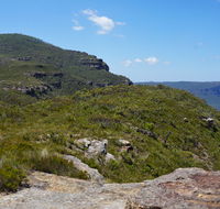 Mount Banks Road cycle route - Accommodation QLD