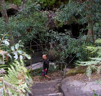 Leura Cascades Fern Bower - Accommodation QLD