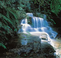 Leura Cascades - Accommodation QLD