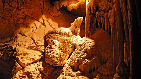 Wombeyan Karst Conservation Reserve - Accommodation QLD 2