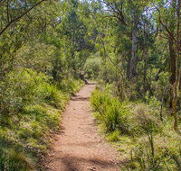 Mares Forest Creek walking track - Accommodation QLD