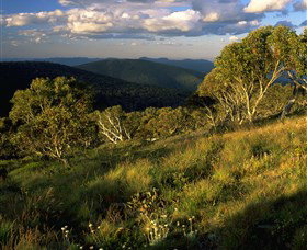 Namadgi National Park And Visitors Centre - Accommodation QLD 2
