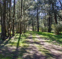 Wombeyan Waterfall walking track - Accommodation QLD