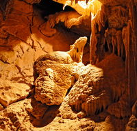 Fig Tree Cave - Accommodation QLD
