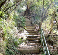 Nature track - Accommodation QLD