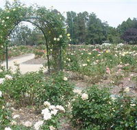 Victoria Park Rose Garden - Accommodation QLD