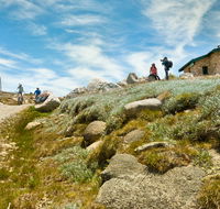 Mount Kosciuszko Summit walk - Accommodation QLD
