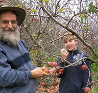 Pine Crest Orchard - Accommodation QLD