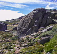 Mount Stillwell walk - Accommodation QLD