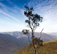 Salisbury Waters walking track - Accommodation QLD