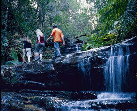 South Lawson Waterfall Circuit - Accommodation QLD 0