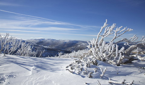 Rock Creek Snowshoe Track - Accommodation QLD 0