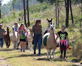 Mount Beppo QLD Accommodation QLD