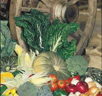 Mulgowie Real Farmers Markets - Accommodation QLD