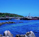 King Island Dairies - Accommodation QLD