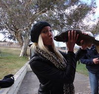 Eucumbene Trout Farm - Accommodation QLD