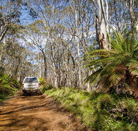 Barrington trail - Accommodation QLD