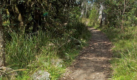 Devils Hole Lookout Walk And Picnic Area - Accommodation QLD 2