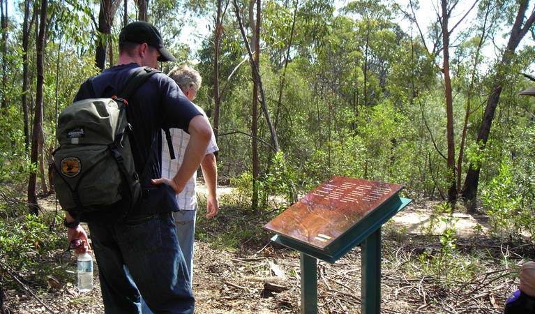 Laguna NSW Accommodation QLD