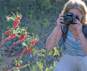Kalamunda National Park - Accommodation QLD 1