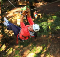 Trees Adventure Grose River Park - Accommodation QLD
