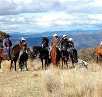 Snowy Wilderness - Accommodation QLD