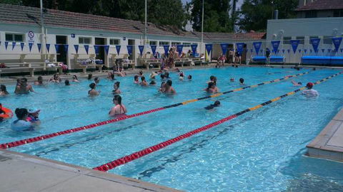 Manuka Pool - Accommodation QLD 3